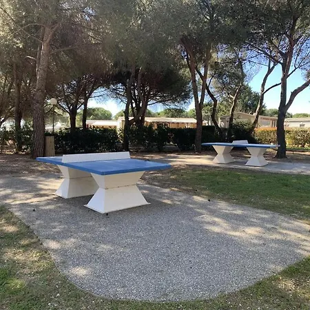 Camping Le Lac Des Reves Lattes